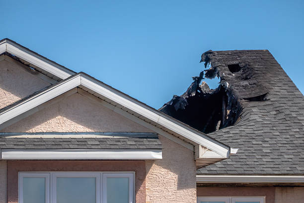 Top rated local Fire Damage Removal specialists in Chevy Chase, MD